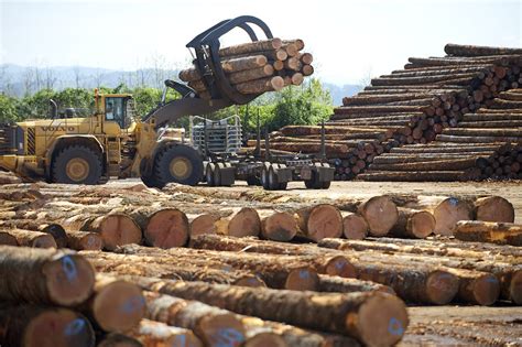 Timber trade